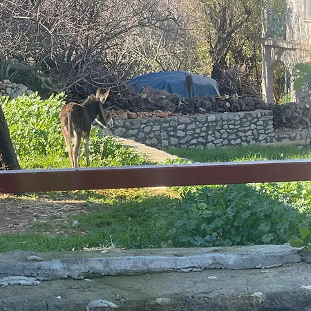 Hébergement de vacances Soeguet Osman Koey Evi *