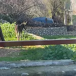 Σπίτι διακοπών Soeguet Osman Koey Evi *