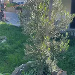 Soeguet Osman Koey Evi Σπίτι διακοπών *