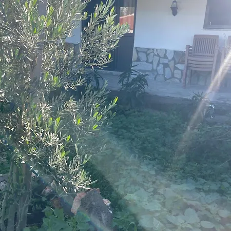 Söğüt Taşlıca Osman