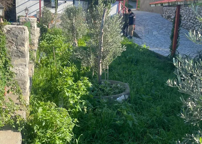 Soeguet Osman Koey Evi Ferienhaus