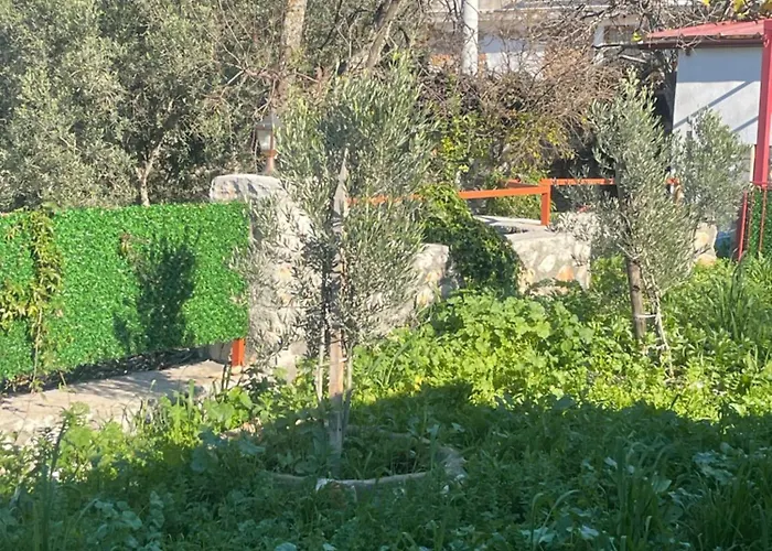 Soeguet Osman Koey Evi Ferienhaus Taslica